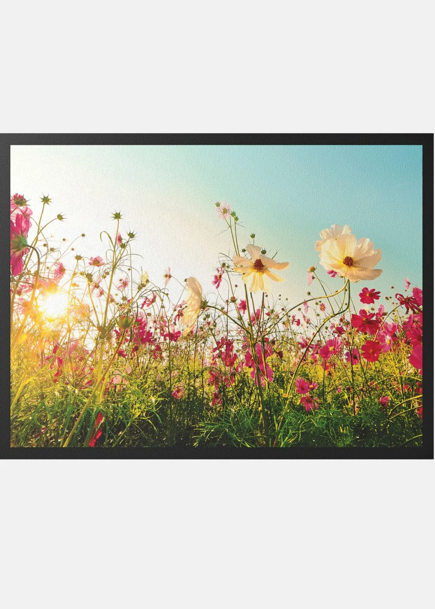 bonprix bonprix Felpudo lavable con flores