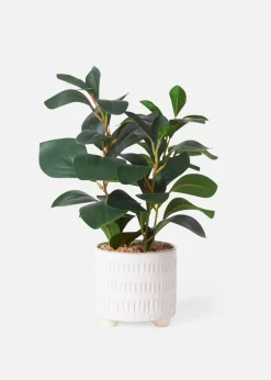 bonprix bonprix Planta artificial
