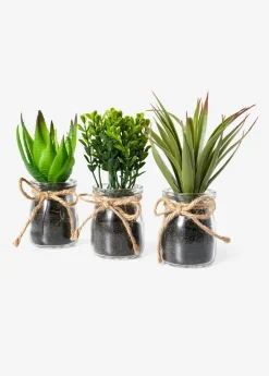 bonprix bonprix Planta artificial