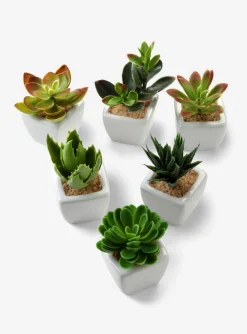 bonprix bonprix Muebles De Exterior·Decoración E Iluminación De Jardín|Figuras Y Accesorios Decorativos>Suculentas artificiales (6 unidades) Verde