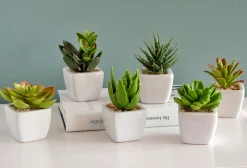 bonprix bonprix Muebles De Exterior·Decoración E Iluminación De Jardín|Figuras Y Accesorios Decorativos>Suculentas artificiales (6 unidades) Verde